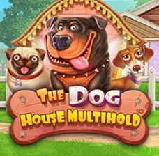игра The Dog House на платформе LotoMart
